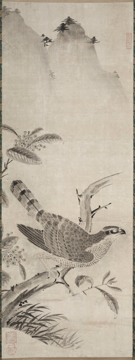 Haukka tekijältä Fujiwara Masayoshi