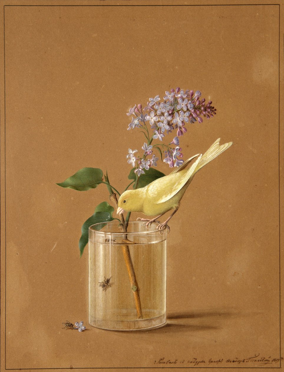 Kanarianlintu lilaoksalla, 1819 tekijältä Fyodor Petrovich Tolstoy
