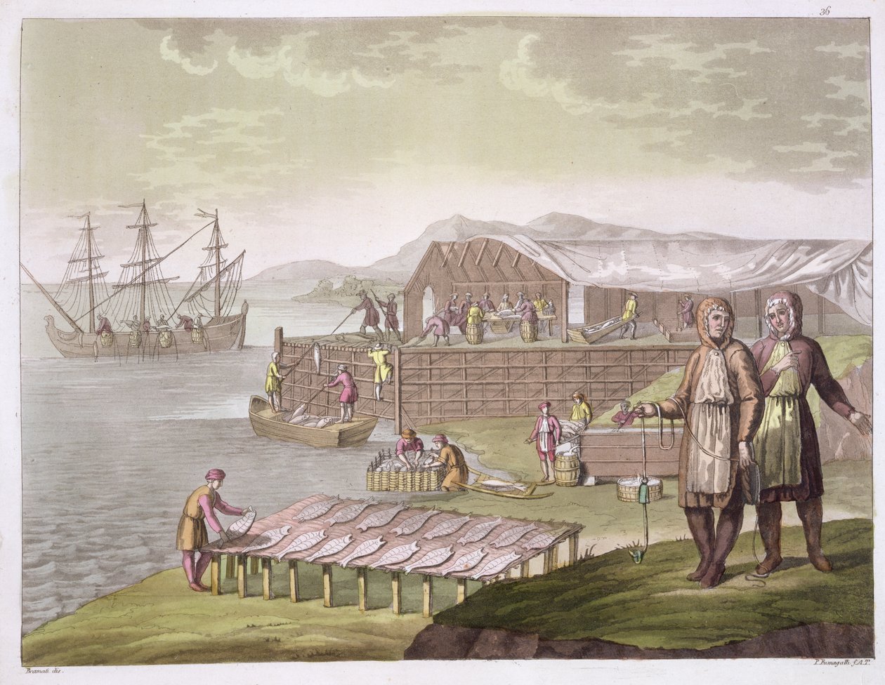 Kalastusteollisuus, Newfoundland, Jules Ferrarion teoksesta Le Costume Ancien et Moderne, osa II, levy 36, julkaistu 1820-30-luvulla tekijältä G. Bramati