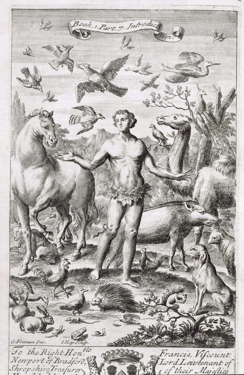 Adam paratiisissa eläinten kanssa, kuvitus Anthony Le Grandin "Filosofian periaatteet" kirjan 1 osan 7 johdannosta, kaiverrus Johannes Kip (165253-1722), 1694 tekijältä G Freman