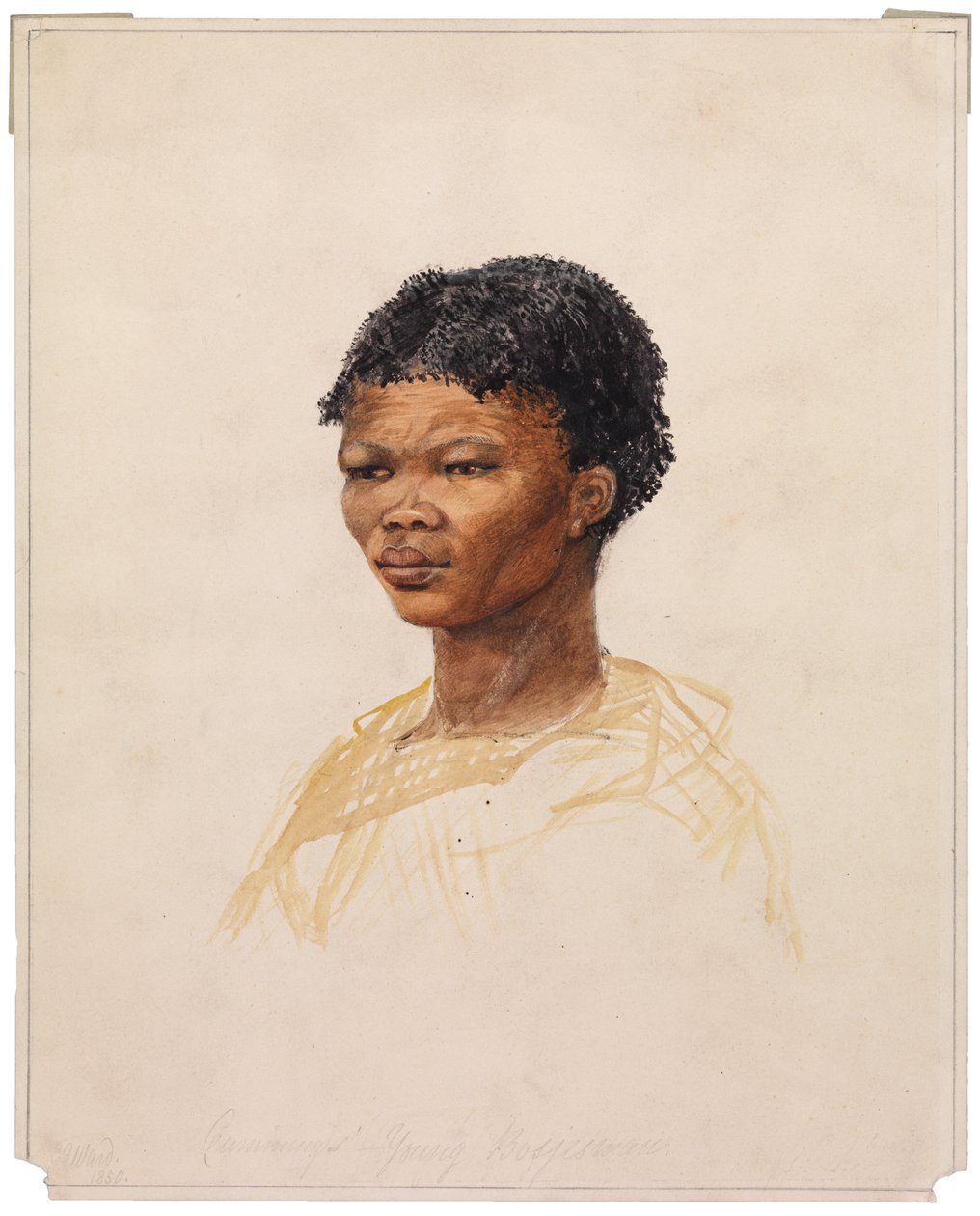 Cummingin nuori Bosjesman, 1850 tekijältä G. S. Ward