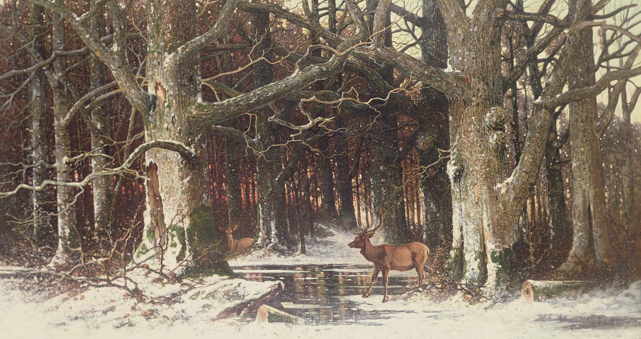 Hirvi metsässä, 1800-luku tekijältä G. Schneyder
