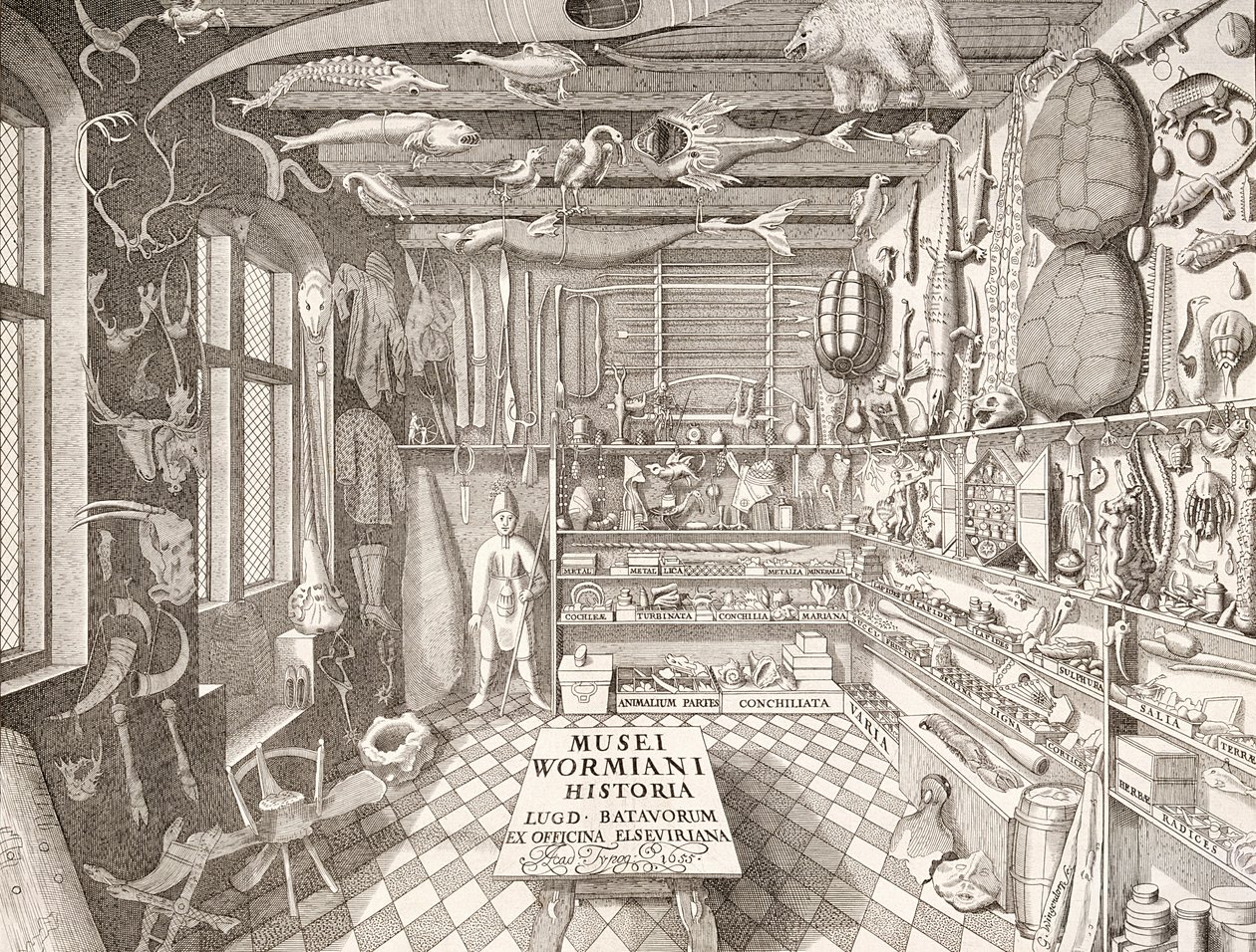 Ole Wormin museo, Leiden, 1655 tekijältä G. Wingendorp