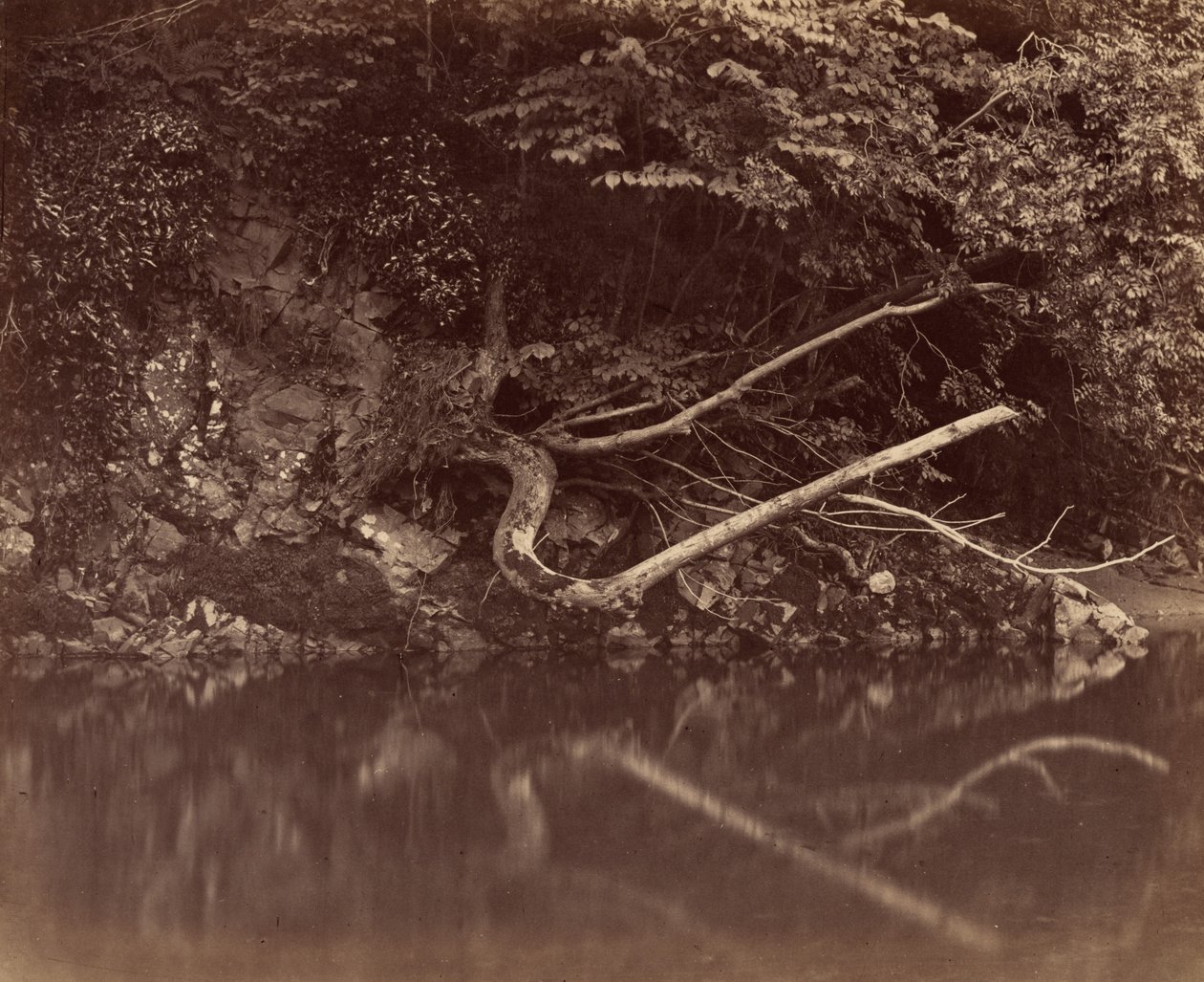 River Bank in the Vale of Neath, n. 1855. tekijältä G. B. Gething