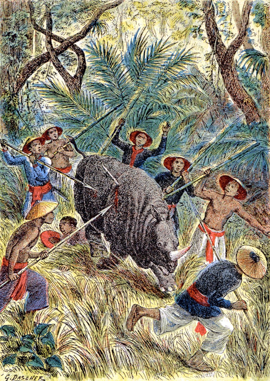 Sarvikuonojen metsästys, Ranskan Indokina, n. 1900 (kuva) tekijältä G. Dascher