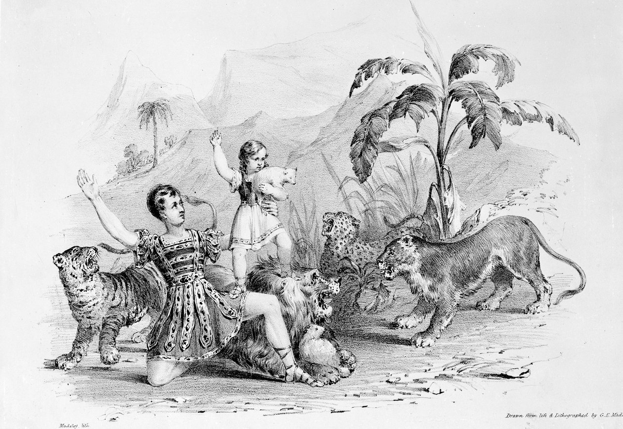 Isaac Van Amburgh kesyttää leijonaa tekijältä G. E. Madeley