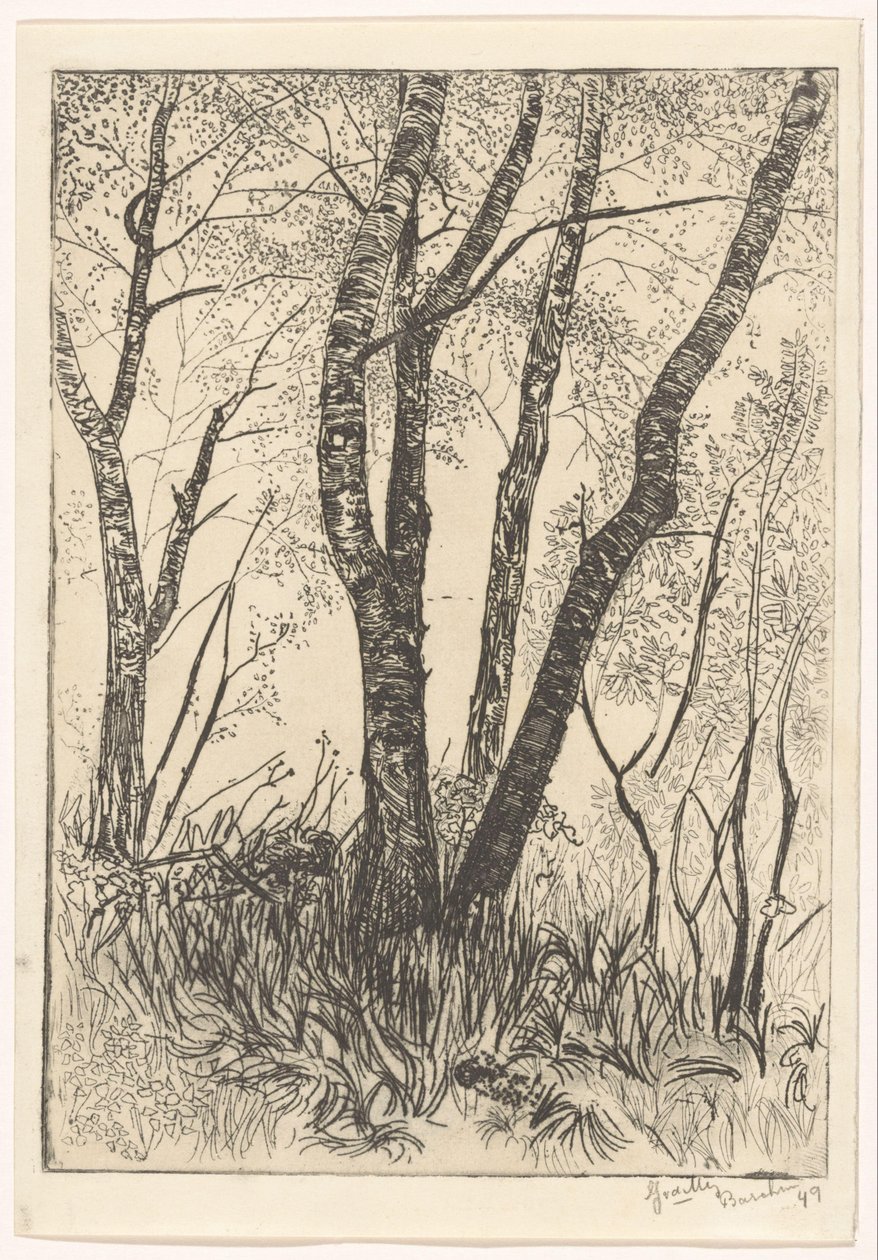 Puut korkeassa ruohossa tekijältä G. van der Mey (signed by artist)