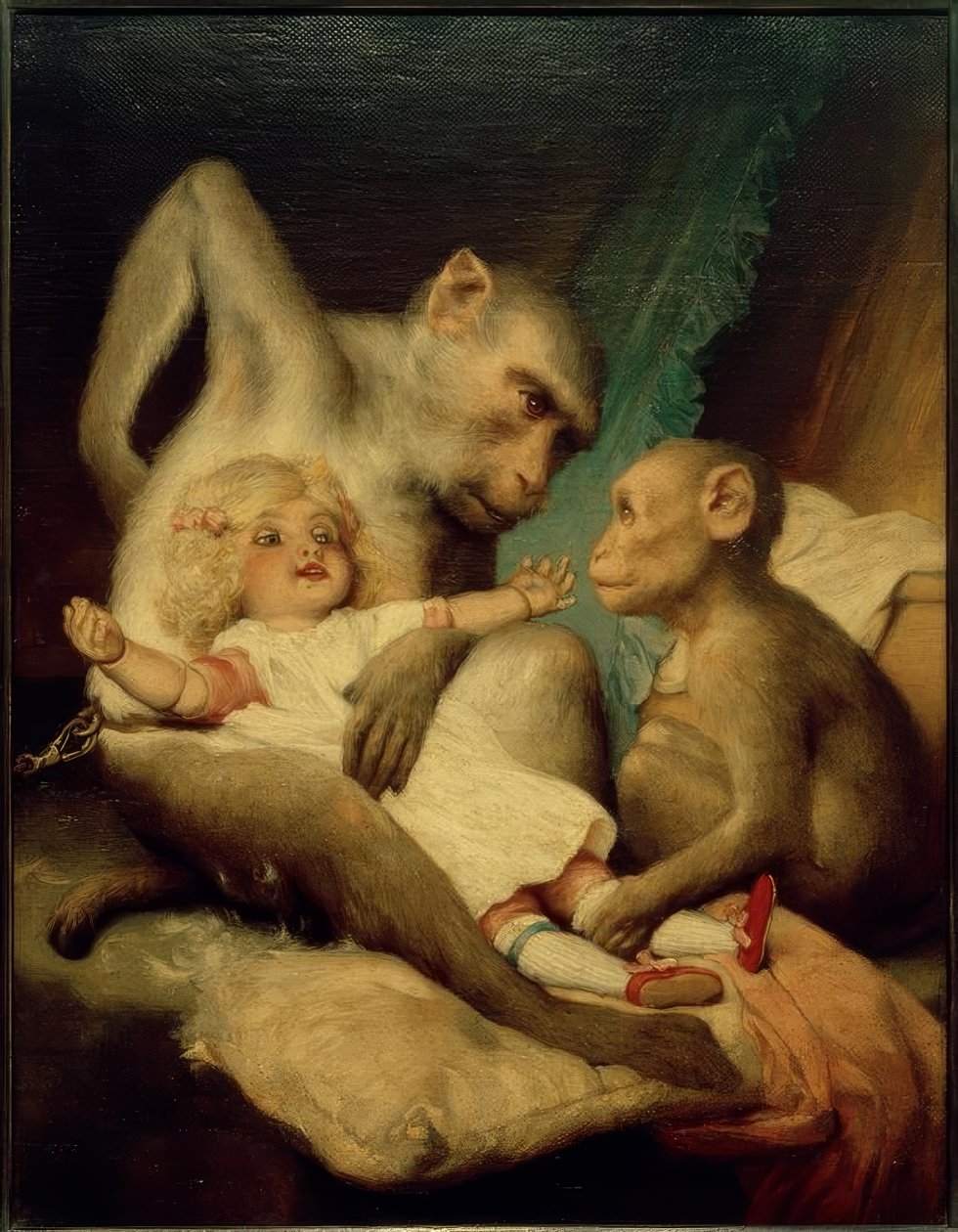Antropologi Unterricht tekijältä Gabriel Cornelius Ritter von Max