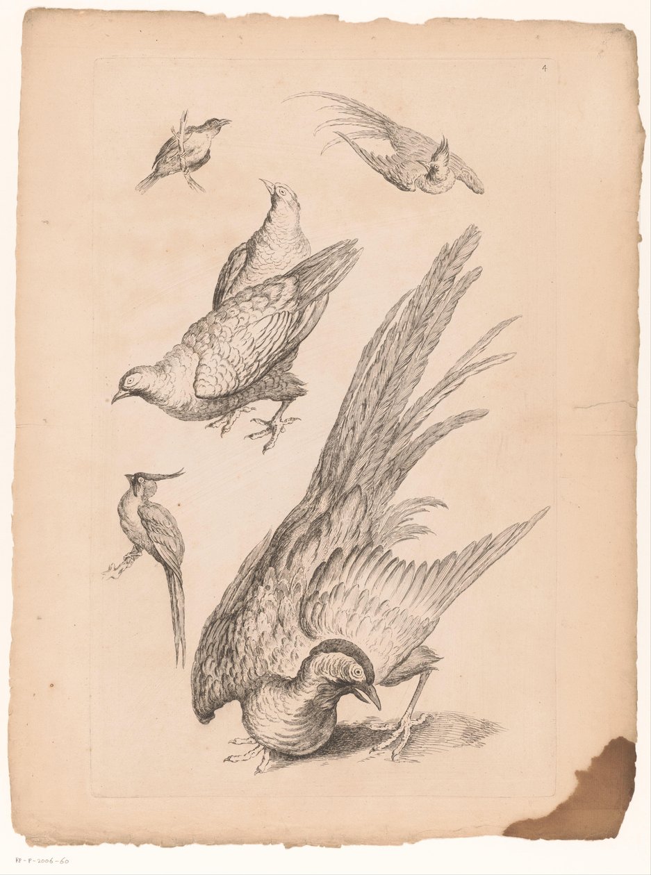 Zes kiinalaiset vogelit Verschillende Chinese Vogels (sarjan nimi) Kirja Kiinan eri lintulajeista (sarjan nimi) tekijältä Gabriel Huquier (attributed to)