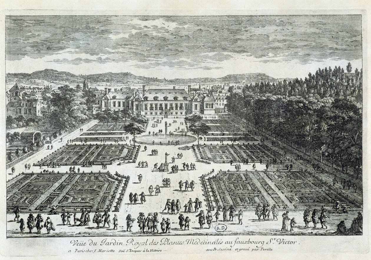Näkymä Jardin des Plantesille 1600-luvulla, Perelle tekijältä Gabriel Perelle