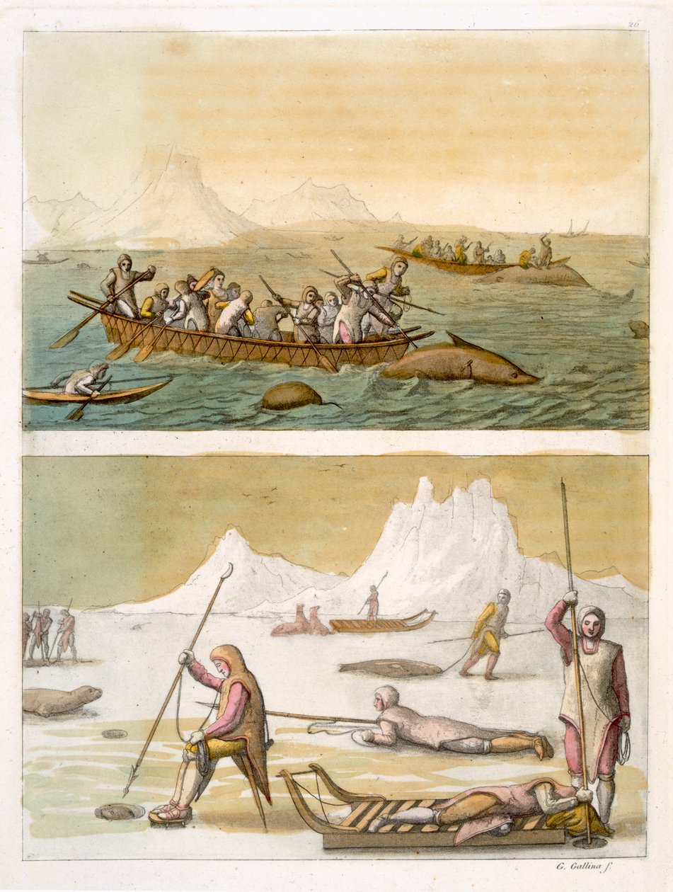 Grönlanti: Valaiden kalastus ja hylkeenpyynti, Jules Ferrarion julkaisusta Le Costume Ancien et Moderne, osa I, levy 26, julkaistu noin 1820-30-luvulla (värikaiverrus) (katso myös 116101) tekijältä Gallo Gallina