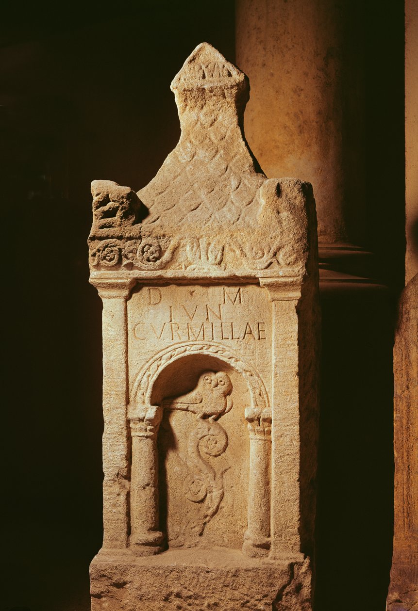 Hautajaisten tähdet tekijältä Gallo Roman