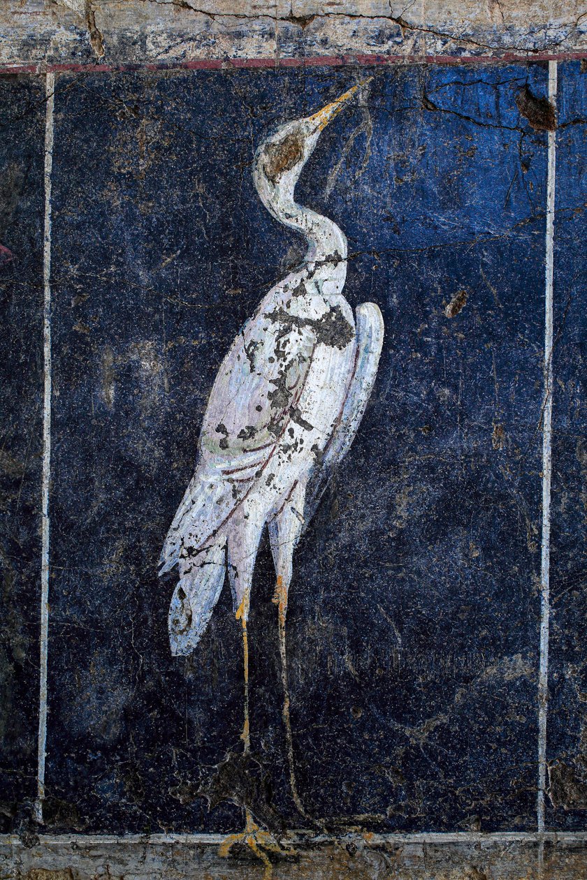 Roomalainen seinämaalaus tekijältä Gallo-Roman