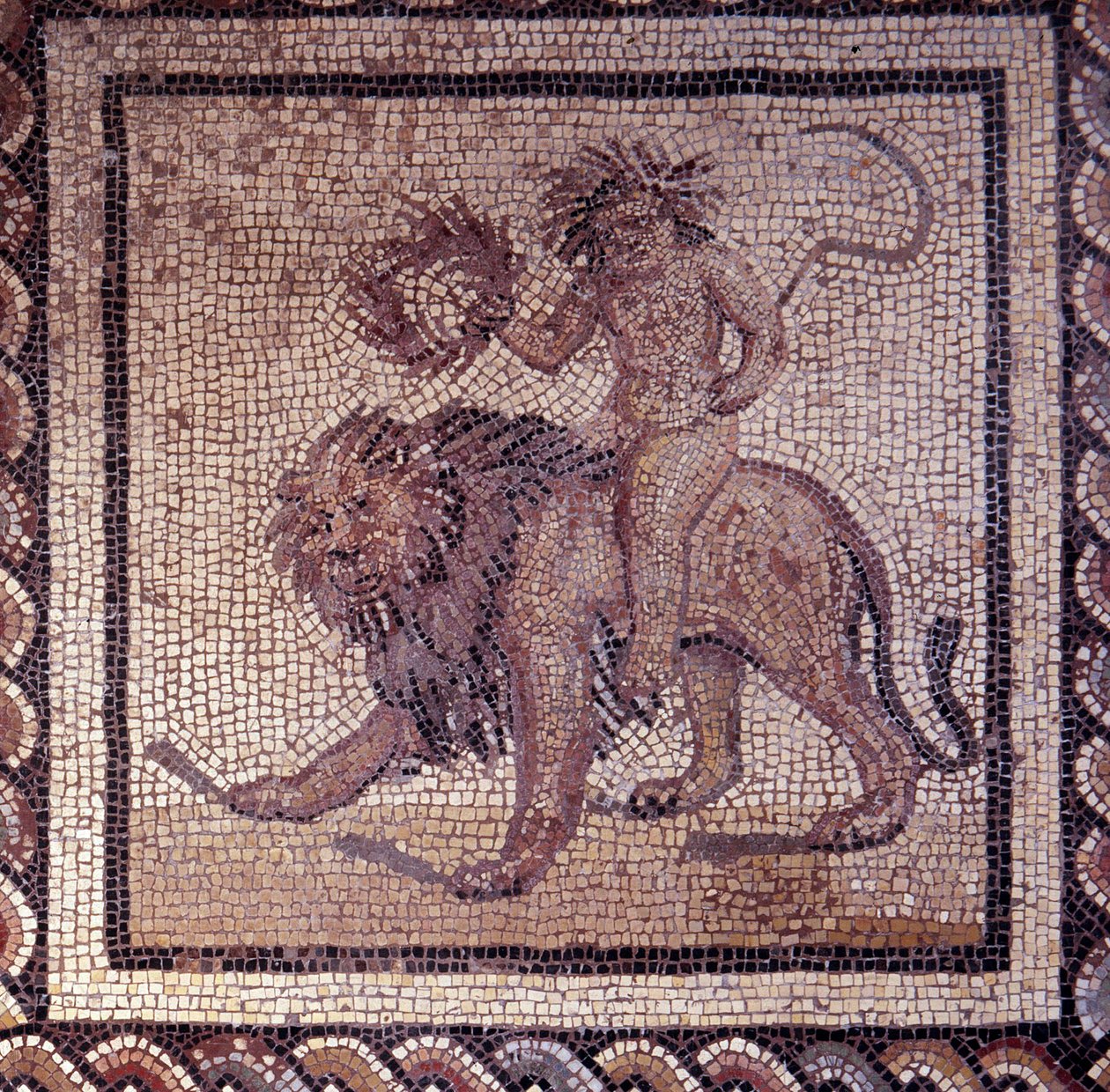 Gallo Roman Art: mosaiikkipäällyste, joka edustaa maalaismaista kalenteria. Kesälegoria leijonasta. 2. vuosisadan loppu, 3. vuosisadan alku JC:n jälkeen. Saint-Romain-en-Galista (Rhône). Saint Germain en Laye, kansallinen arkeologinen museo tekijältä Gallo Roman