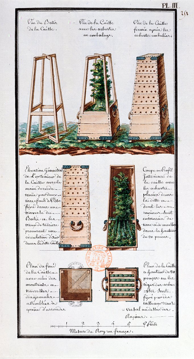Kuva erikoiskaapista pensaiden ja pensaiden kuljettamiseen, taiteilijan muistikirjasta, joka on tehty Jean-Francois Gallup de la Perousen (1741-88) tutkimusmatkojen aikana (kynä ja muste ja wc paperilla tekijältä Gaspard Duche de Vancy