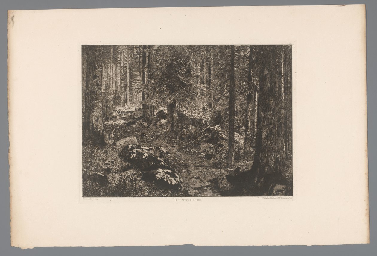 Boslandschap Doubsien kuuset (otsikko esineessä) France etsen uit 1876 (sarjan nimi) Etsaus vuonna 1876 (sarjan nimi) tekijältä Gaston Coindre