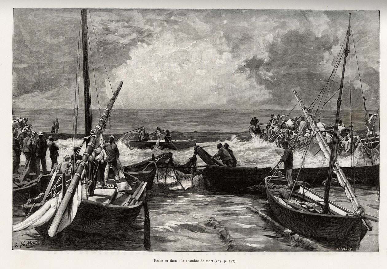 Tonnikalanpyynti (mattanza): kuolinkammio, tonnikalapuristimia ahtaassa tilassa peittävät kalastajien harppuunat. Kaiverrus ja tarina "" La Sardaigne" - kirjoittanut Gaston Vuillier (1845-1915), vuonna 1890, Le tour du monde, nouveau journal des voyages, a tekijältä Gaston Vuillier