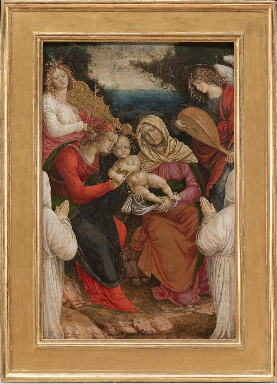 Madonna ja lapsi, Pyhä Anna ja lahjoittajat, 1508-09 tekijältä Gaudenzio Ferrari