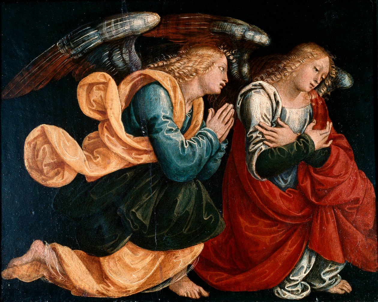Rukoilevat enkelit, Gaudenzio Ferrari (noin 1470-1546) tekijältä Gaudenzio Ferrari
