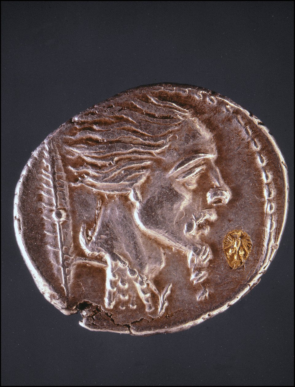 Olettaen Vercingetorixin profiili Gauloisen kappaleessa. Mitalikokoelman museo. Milano tekijältä Gaulish Gaulish