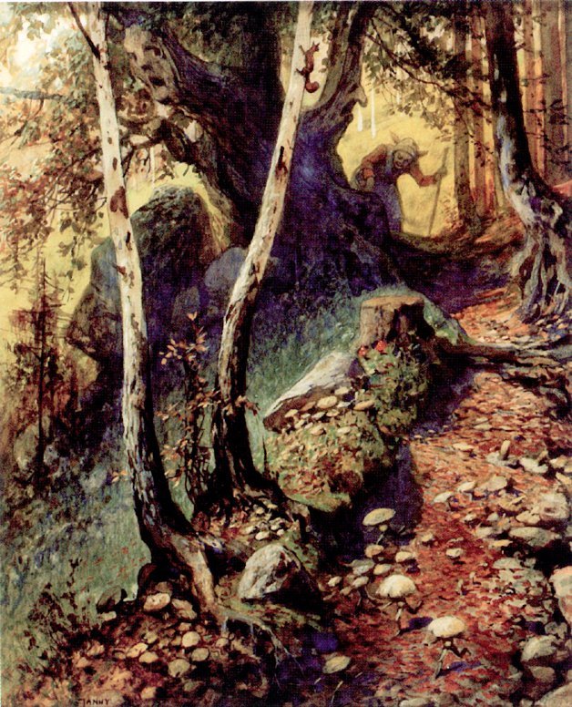 Sienien metsästys vanhassa metsässä tekijältä Georg Janny