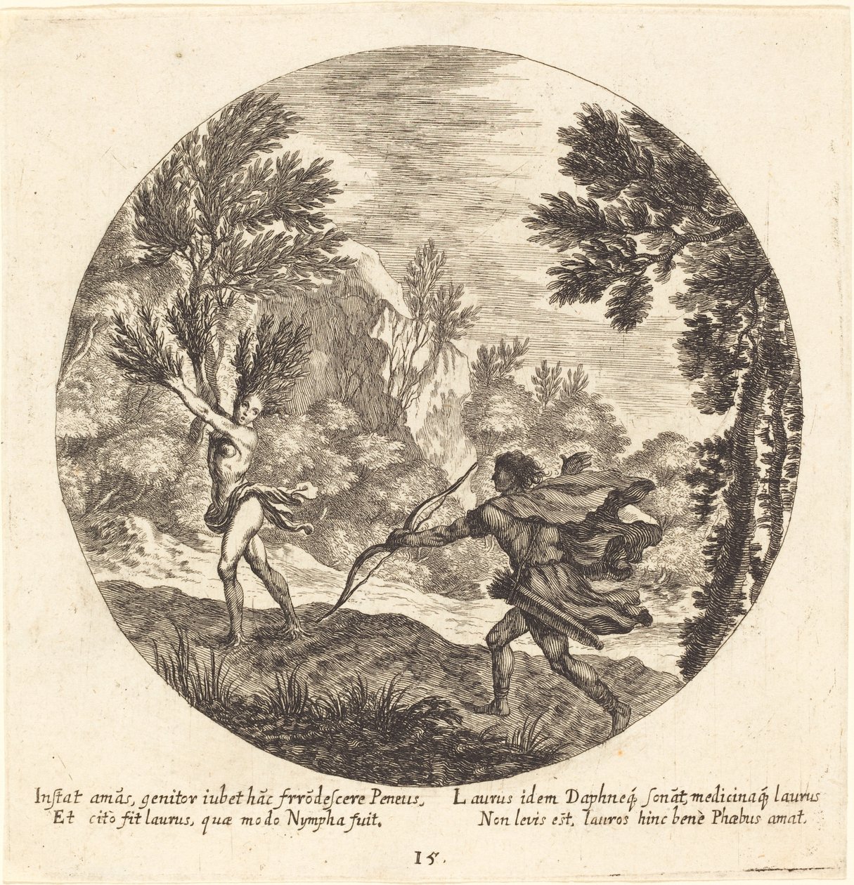 Daphne es torna a un llorer tekijältä Georg Andreas Wolfgang the Elder