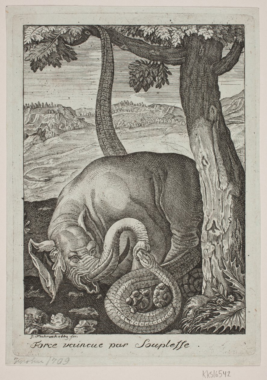 Joustavuus kukisti vahvuuden tekijältä Georg Fahrenholtz