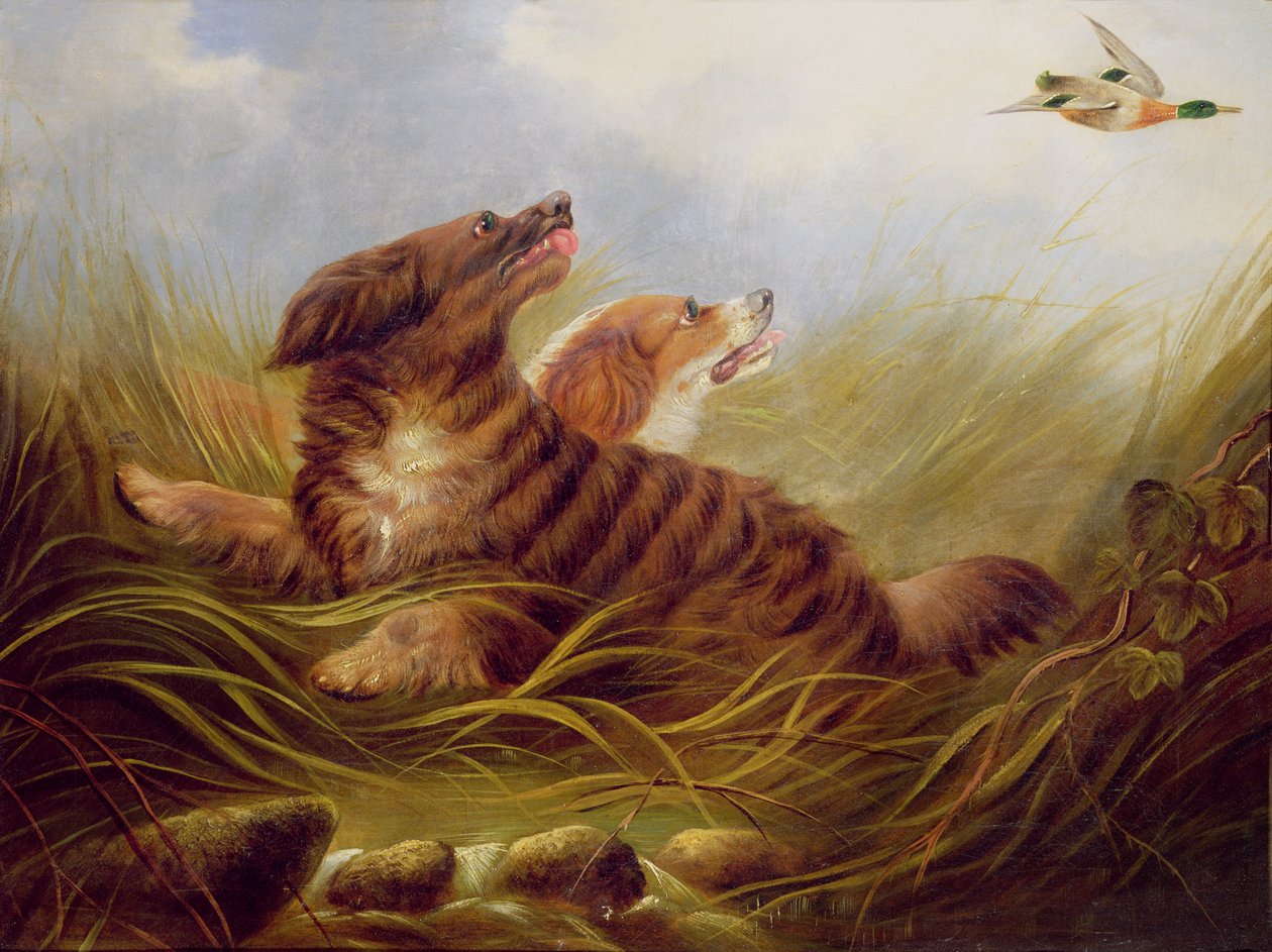 Spanielit thrashing tekijältä George Armfield