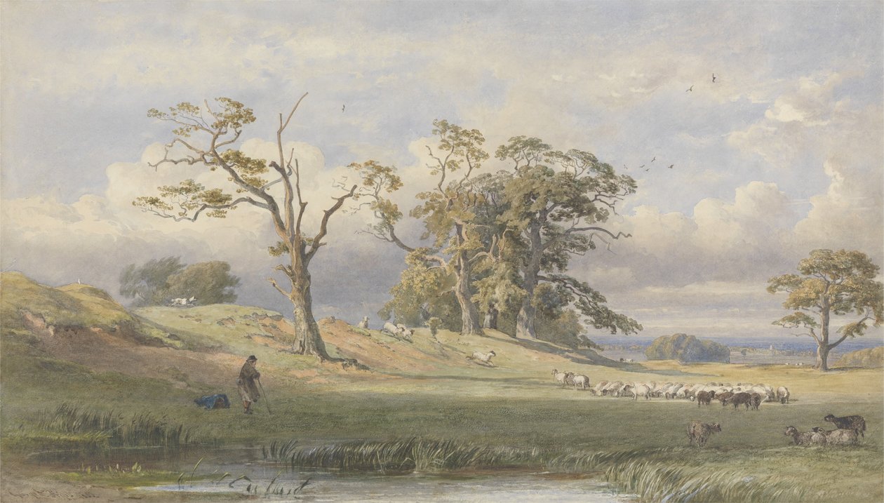 Vanha brittiläinen leiri Bulstrode Parkissa, 1860 (wc grafiitin päällä paperilla) tekijältä George Arthur Fripp