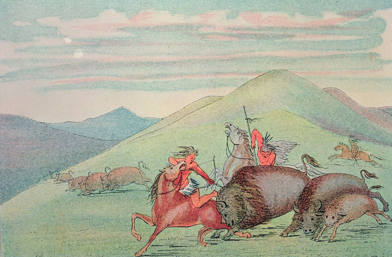 Buffalo härkä suojelee vasikkaa ja emoa hyökkäyksen kohteena tekijältä George Catlin
