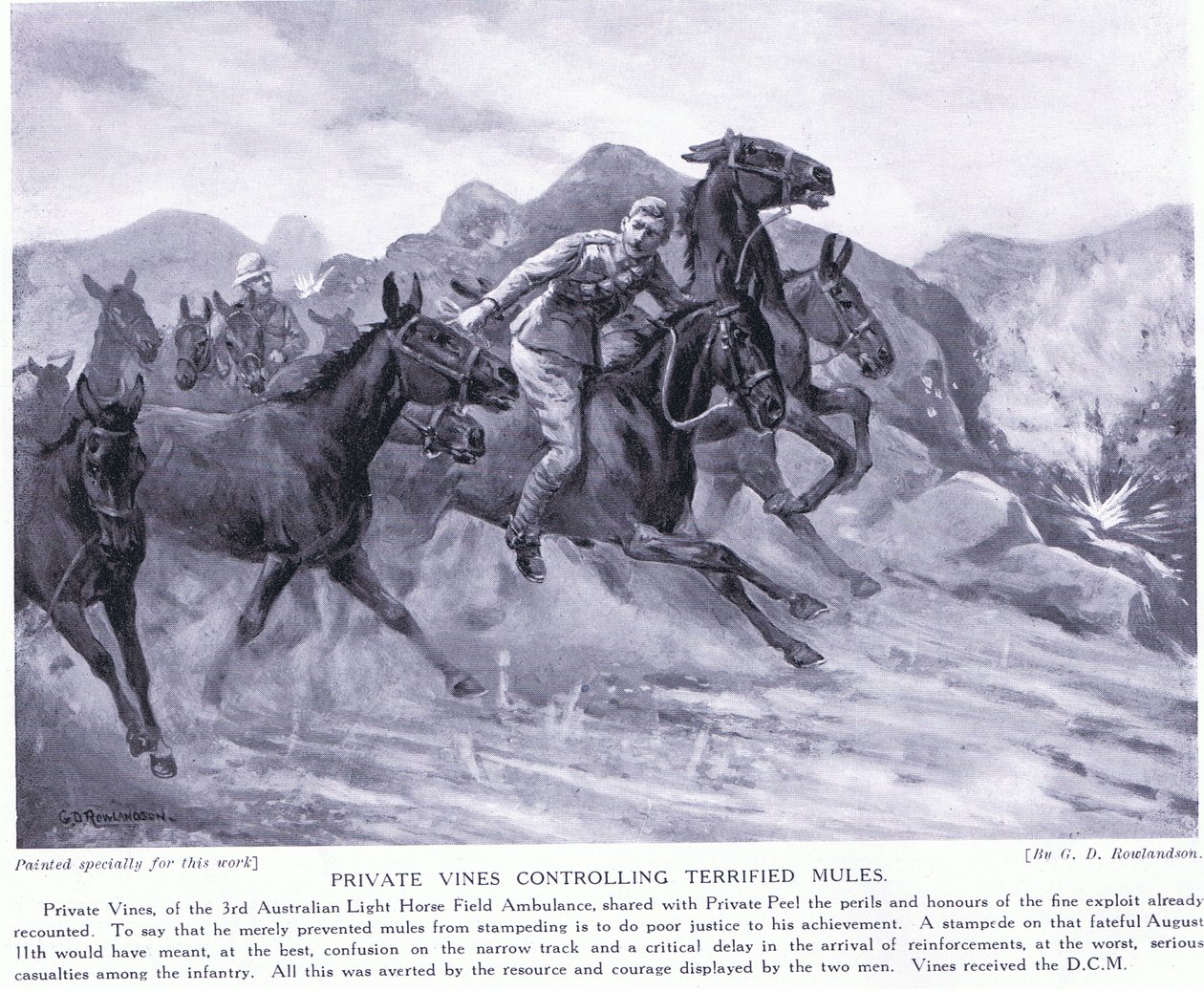 Private Vines myönsi DCM:n kauhistuneiden muulien hallinnasta elokuussa 1915 tekijältä George Derville Rowlandson