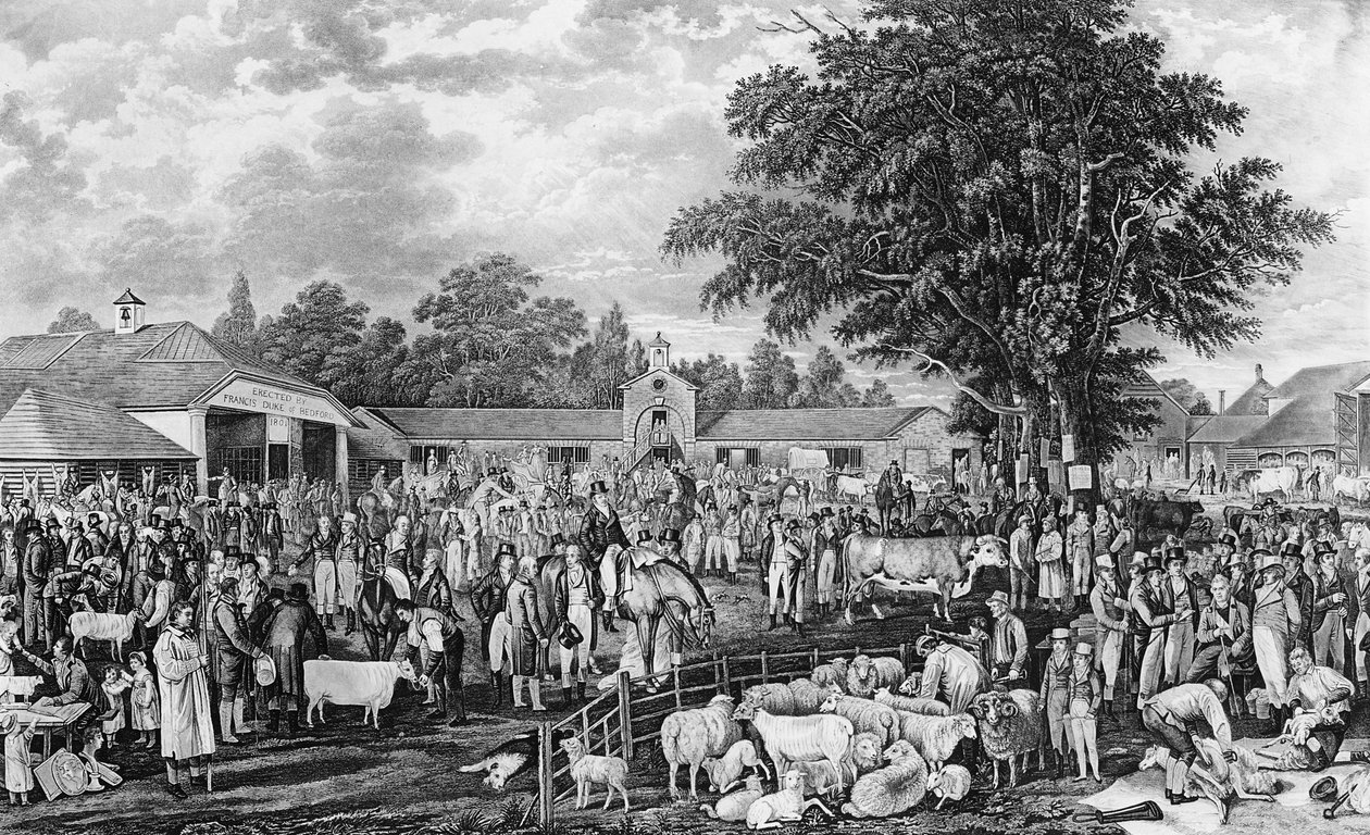 Woburnin lampaannosto, kaiverrettu Thomas Morrisin toimesta, 1811. tekijältä George Garrard