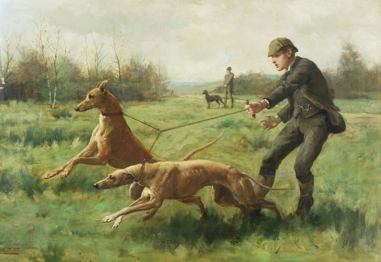 Vinttikoirien harjoittelua tekijältä George Goodwin Kilburne