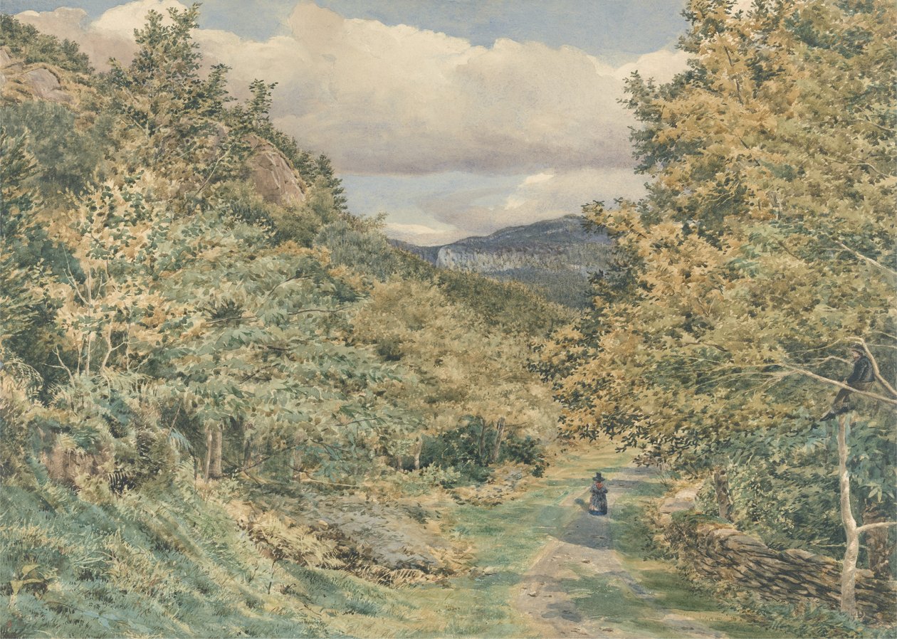 Tie lähellä Bettws-y-Coedia, 1851 (wc grafiitin päällä paperilla) tekijältä George Price Boyce