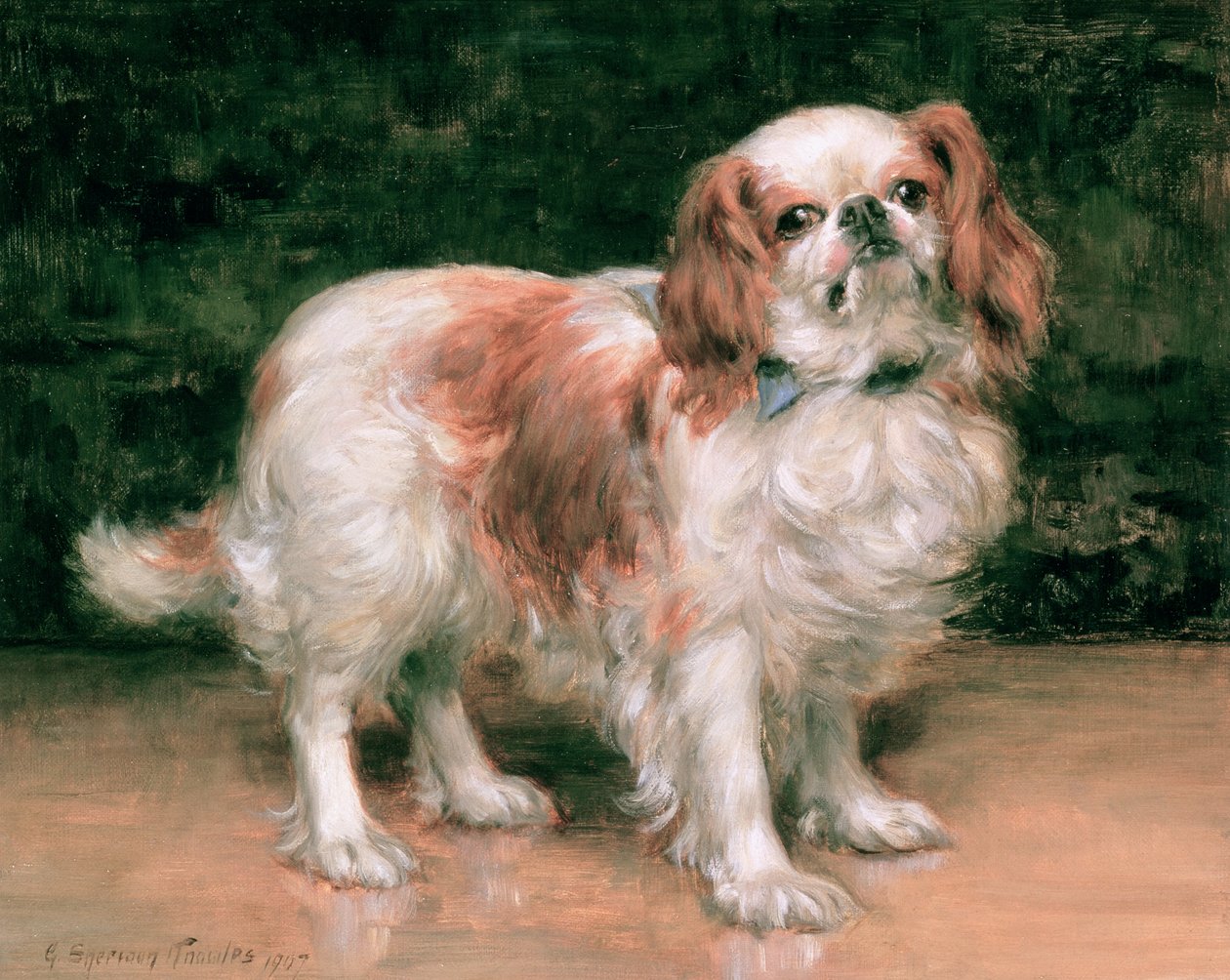 King Charles Spaniel, 1907 tekijältä George Sheridan Knowles