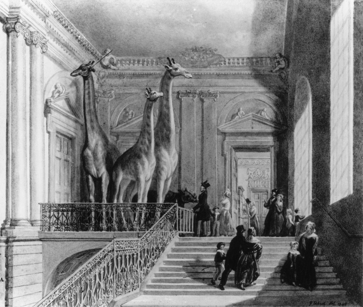 Kirahvit British Museumin portaissa, 1845 (kynä ja muste ja wc paperilla) tekijältä George Snr Scharf