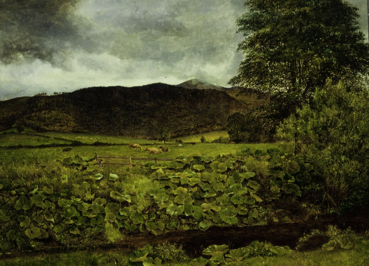 Wallow Crag, Cumberland tekijältä George Stanfield Walters