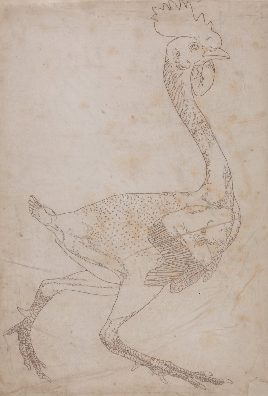 Vertaileva anatominen esitys ihmiskehon rakenteesta tiikerin ja ... tekijältä George Stubbs