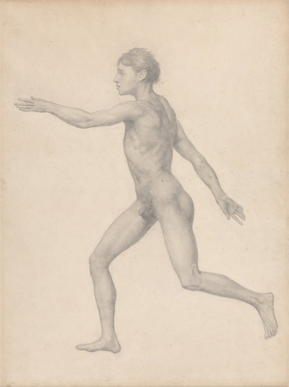 Vertaileva anatominen esitys ihmiskehon rakenteesta tiikerin ja ... tekijältä George Stubbs