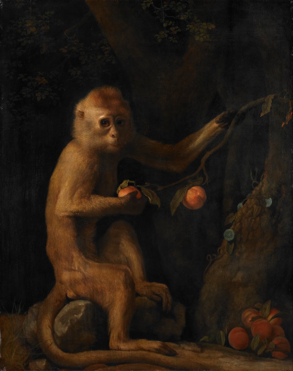 Apina tekijältä George Stubbs