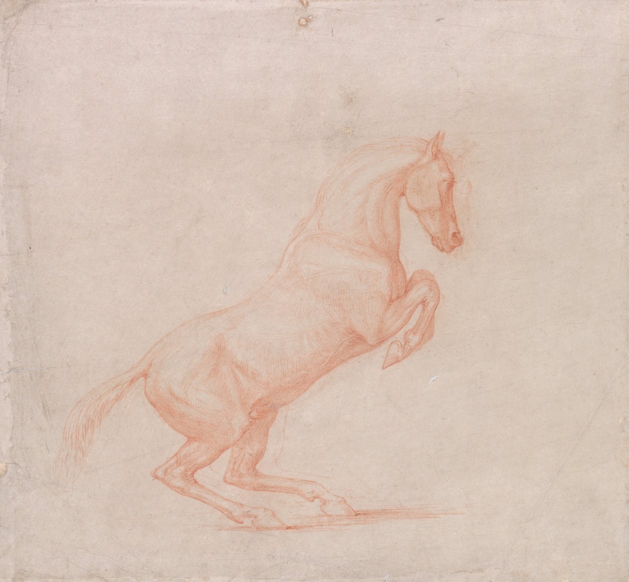 Läpinäkyvä hevonen, oikealla tekijältä George Stubbs