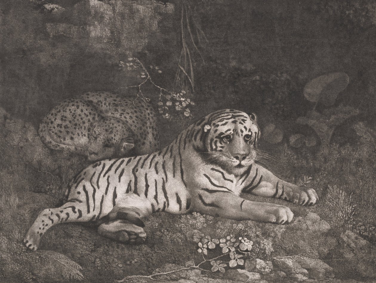 Tiikeri ja nukkuva leopardi tekijältä George Stubbs