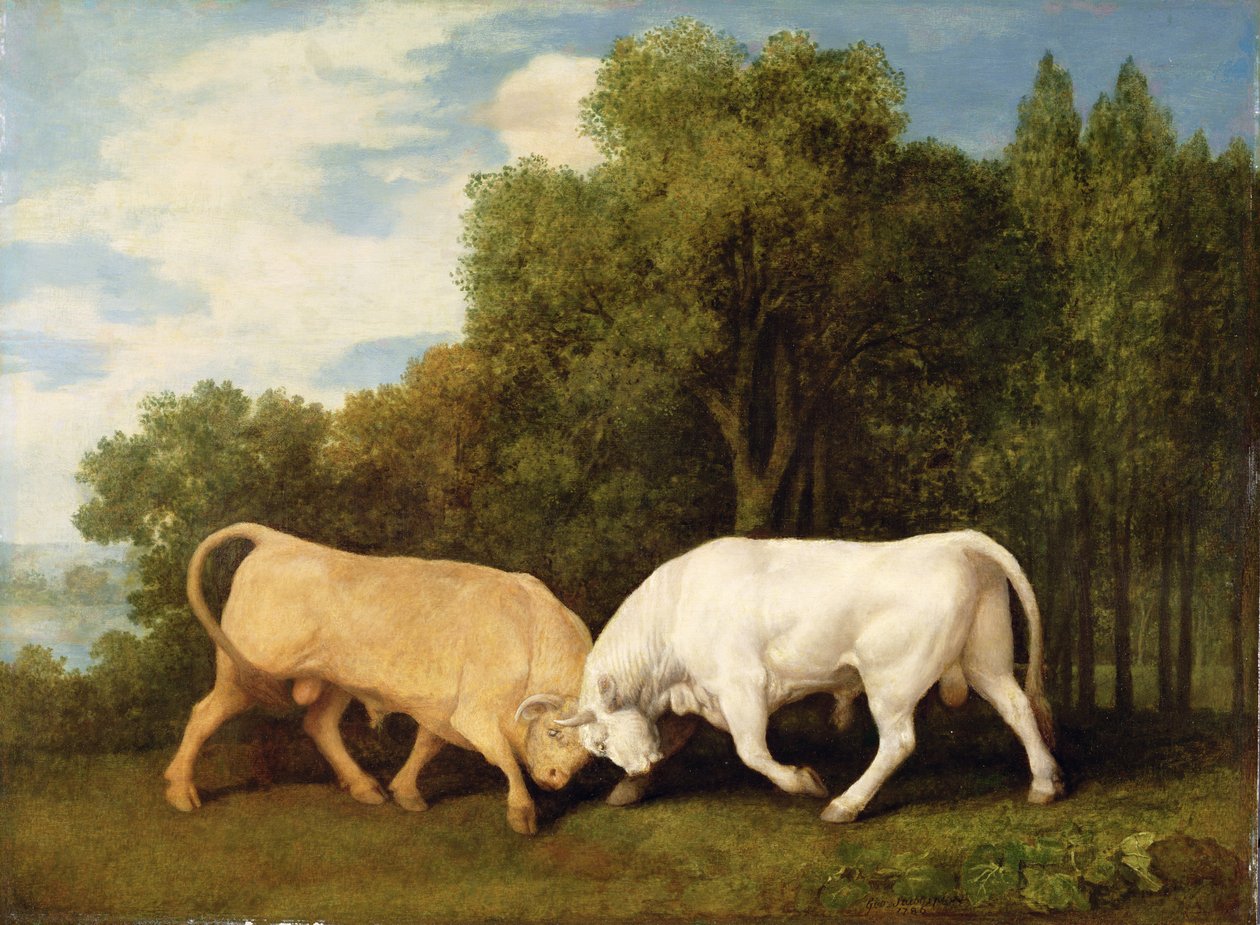Härkätaistelu, 1786 tekijältä George Stubbs