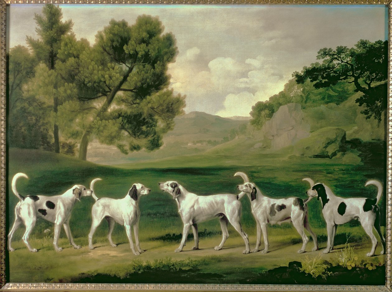 Foxhounds maisemassa, 1762 tekijältä George Stubbs