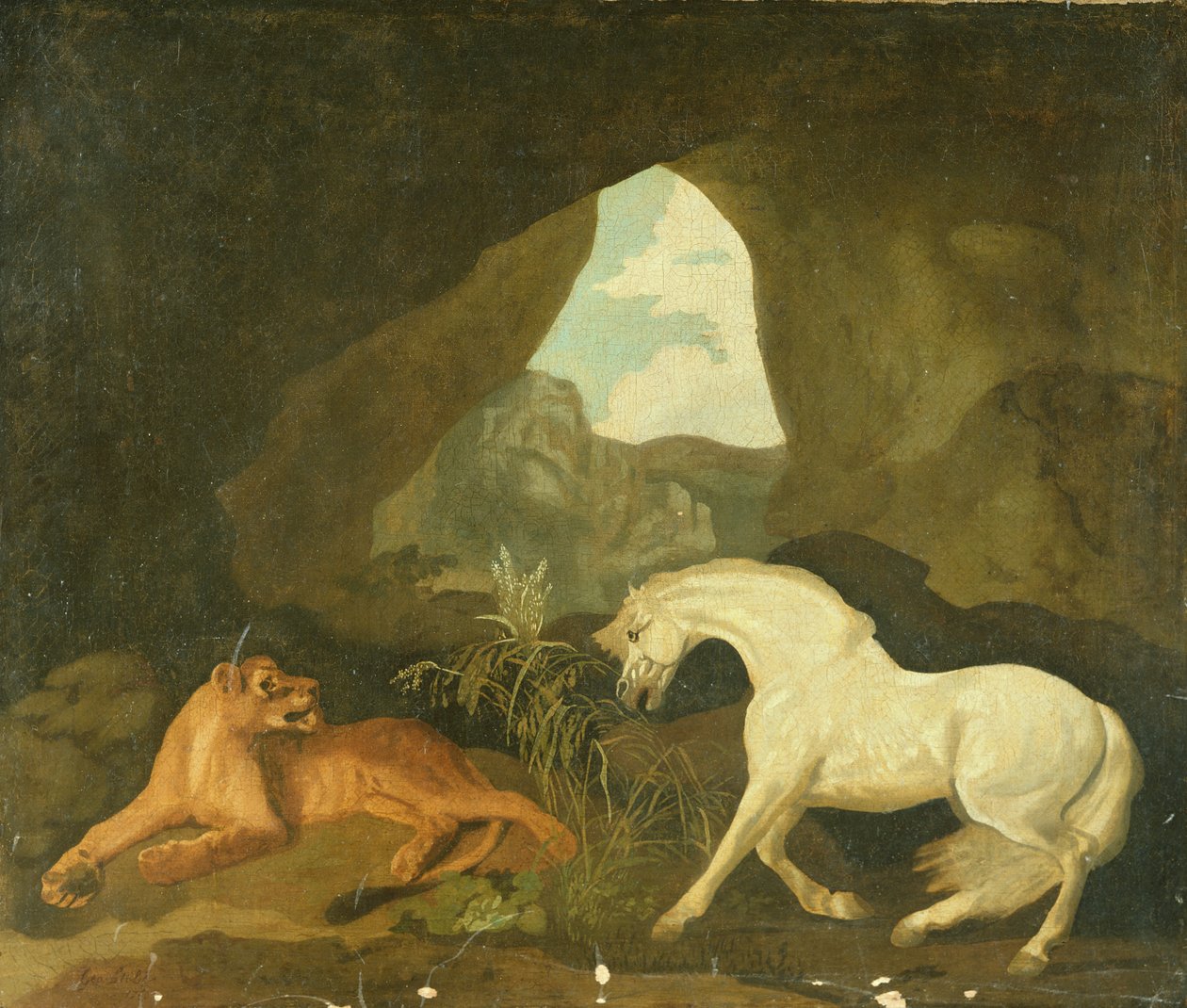 Leijona ja valkoinen ori, 1760 tekijältä George Stubbs
