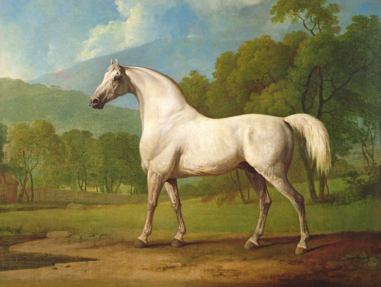 Mambrino, noin 1790 tekijältä George Stubbs