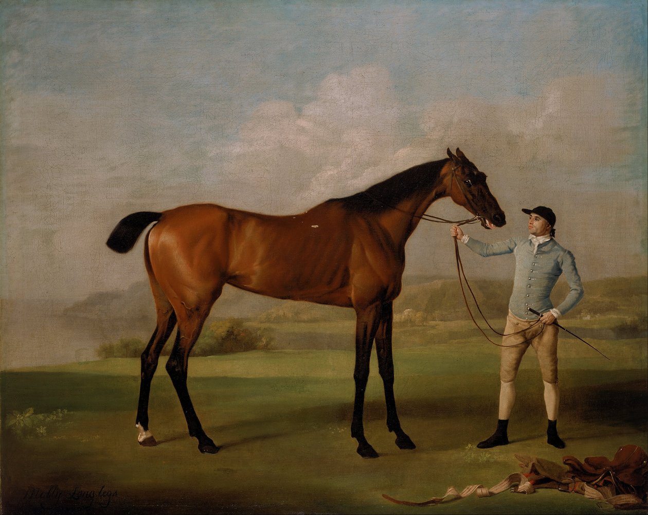 Molly Long-jalat hänen Jockey tekijältä George Stubbs