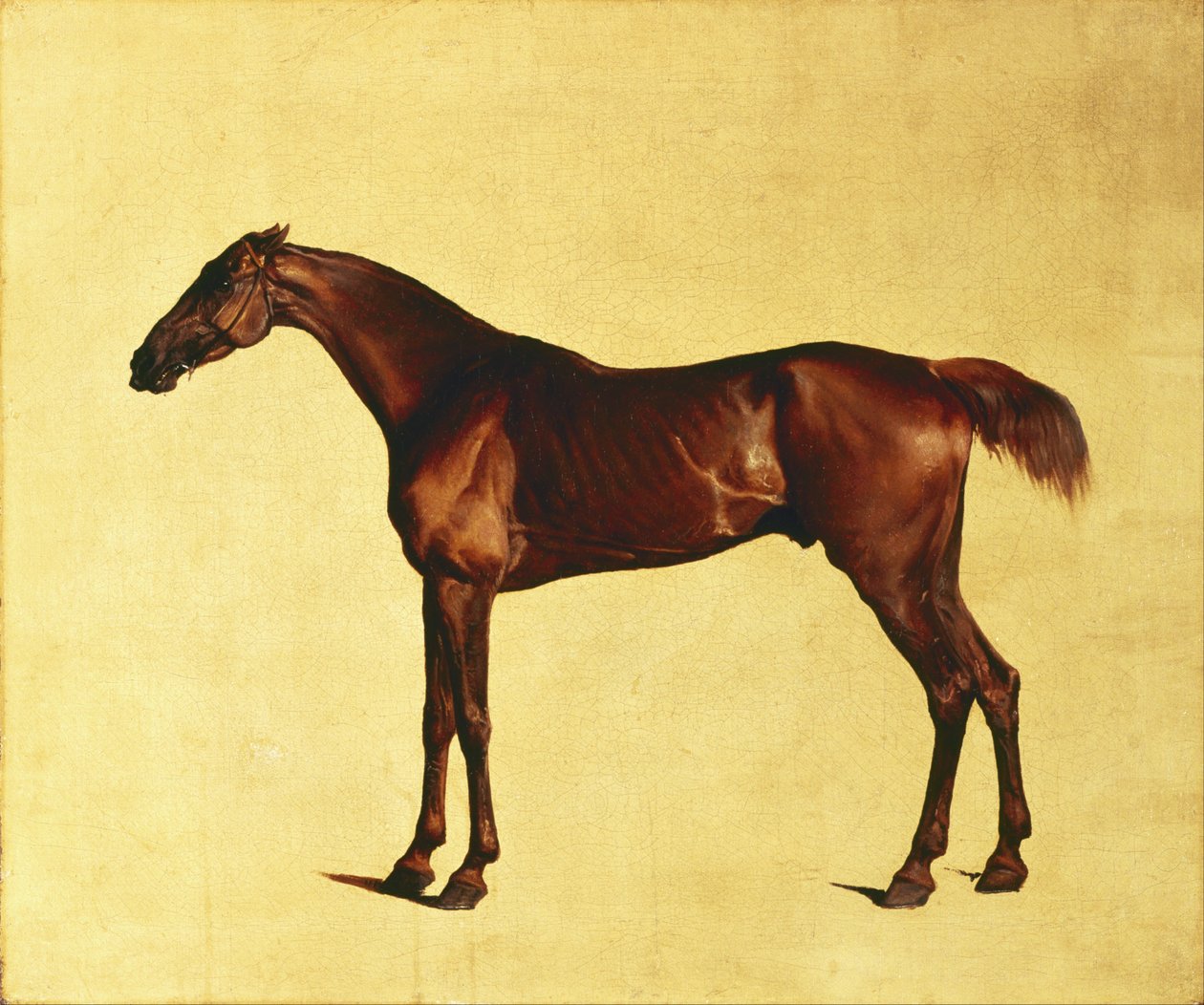 Pangloss tekijältä George Stubbs