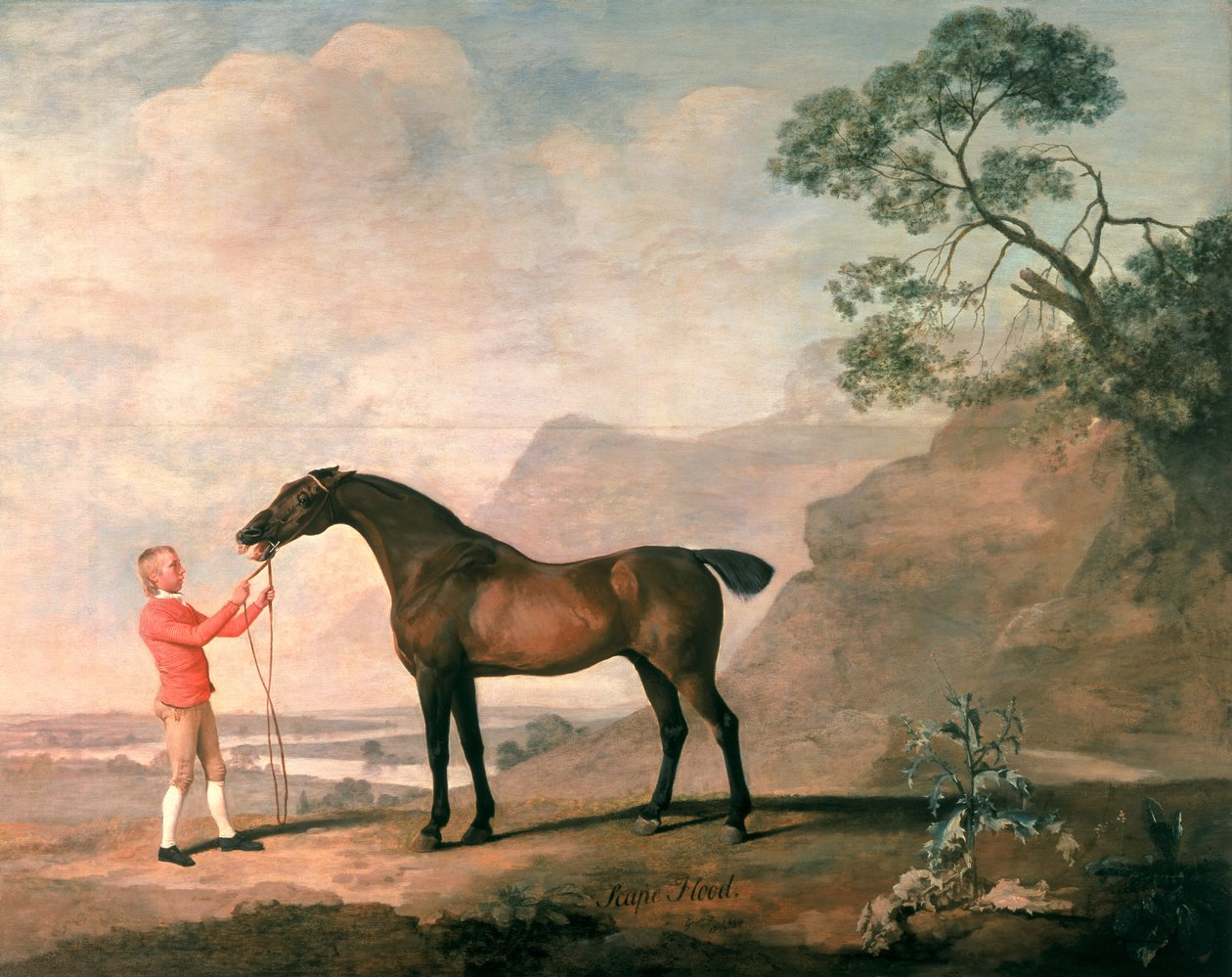 Pelastustulva tekijältä George Stubbs