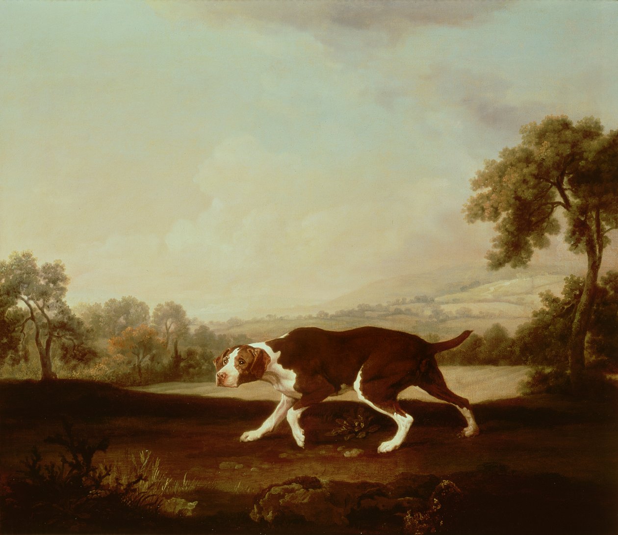 Espanjan osoitin tekijältä George Stubbs